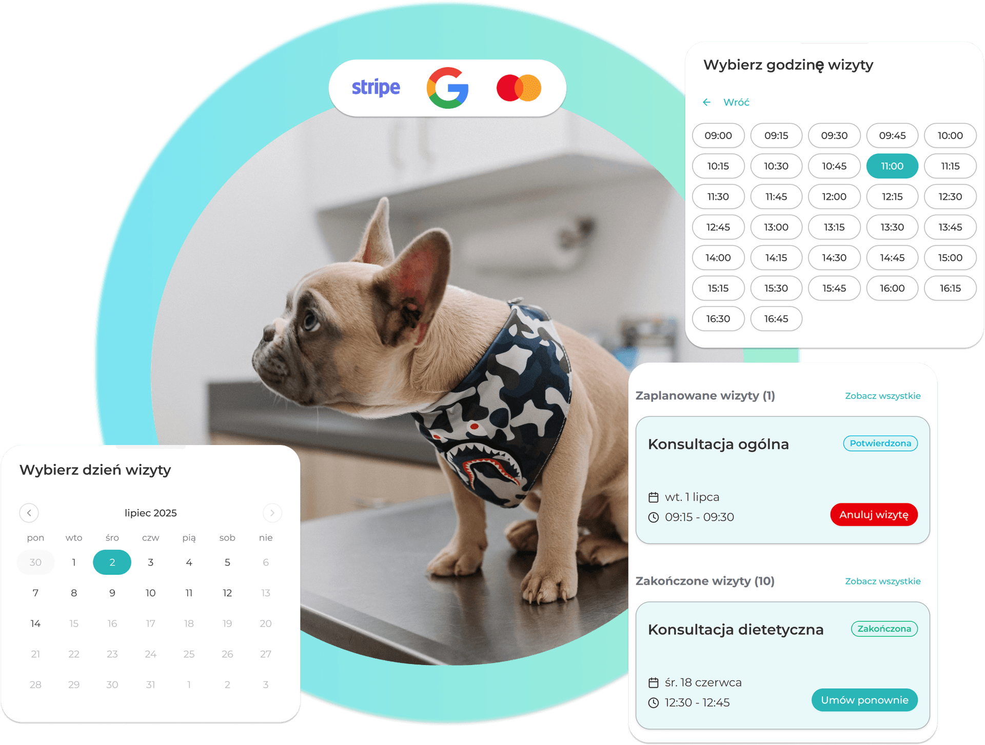 System BookApp dla przychodni weterynaryjnej